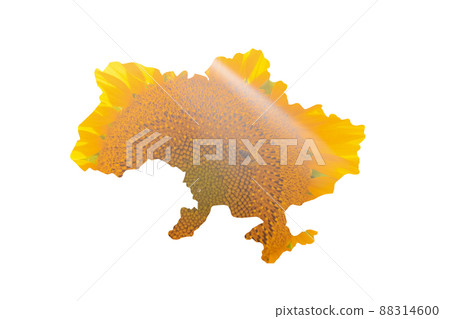 Isolated image of a map of Ukraine on a white background. The texture of a bright yellow sunflower on which sits a bee. Selective focus. Stop the war Isolated image of a map of Ukraine on a white background. The texture of a bright yellow sunflower on which sits a bee. Selective focus. Stop the war 88314600