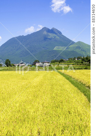 湯布院鄉村風光 湯布院鄉村風光 88314650