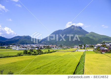 Yufuin Countryside Scenery 88314652