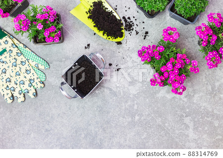 Garden tools and spring flowers on a gray stone table 88314769