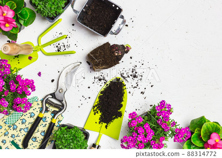 Garden tools and spring flowers on a white table 88314772