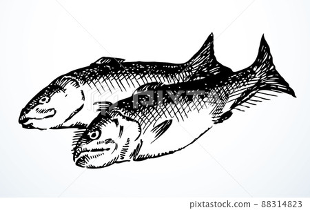 Vector fishes still life from the biblical story 88314823