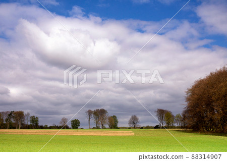 View over a wide field surrounded by trees close to Ootmarsum View over a wide field surrounded by trees close to Ootmarsum 88314907