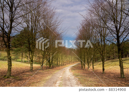 Curved path through the nature reserve De Paltz near Soest Curved path through the nature reserve De Paltz near Soest 88314908