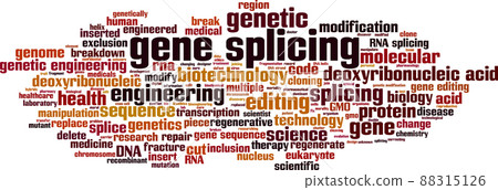 Gene splicing word cloud 88315126