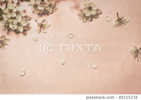 Spring blossom on coral background 88315216
