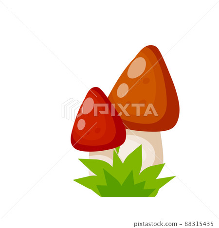 Mushroom with a red cap. Natural natural product. Mushroom with a red cap. Natural natural product. 88315435