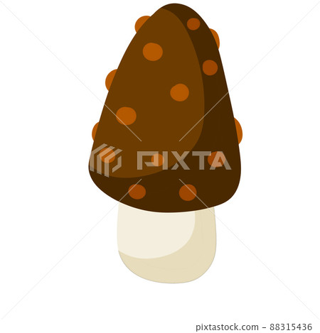 Mushroom with a brown cap. Natural natural product 88315436