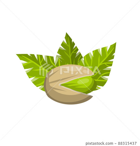 Pistachios. Green nuts in their shells. Pistachios. Green nuts in their shells. 88315437