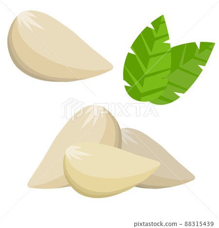 Garlic cloves. Spicy vegetable. Garlic cloves. Spicy vegetable. 88315439