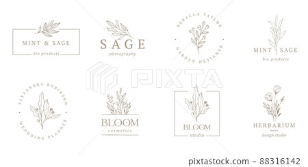 Elegant, botanique logo collection, hand drawn illustrations of flowers, leaves and twig, delicate 88316142