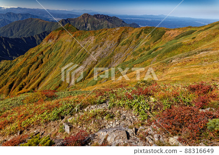 Mt. Hakkai seen from the ridgeline of Mt. Echigo Komagatake in autumn colors 88316649
