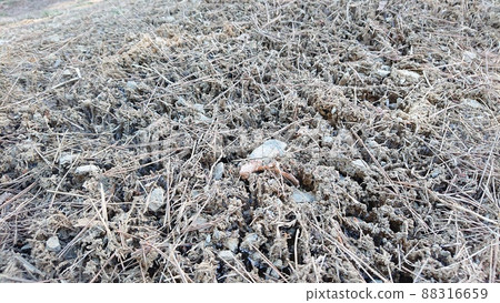 frost pillar 88316659