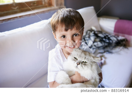 Kitty love. A young boy sitting on a couch and holding his cat. Kitty love. A young boy sitting on a couch and holding his cat. 88316914