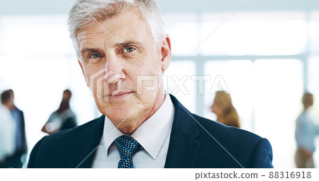 Confident and white collar. Cropped portrait of a handsome mature businessman standing in the office with his colleagues in the background. 88316918