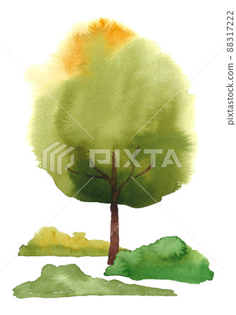 Tree watercolor Tree watercolor 88317222