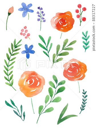 botanical watercolor botanical watercolor 88317227