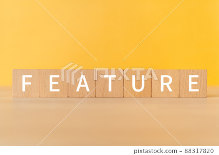 特徵圖像 | 上面寫有“FEATURE”的積木 特徵圖像 | 上面寫有“FEATURE”的積木 88317820