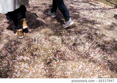 櫻花結束 櫻花結束 88317947