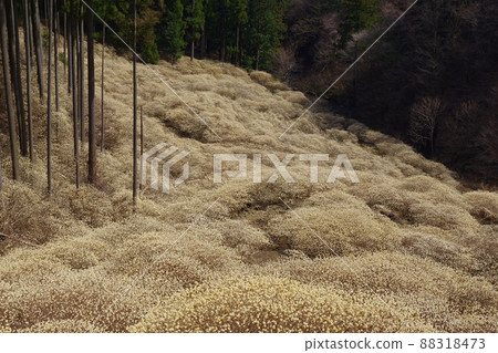 Mitsumata集團布 Mitsumata集團布 88318473