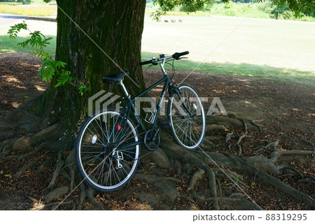3036 Bicycle 3036 Bicycle 88319295