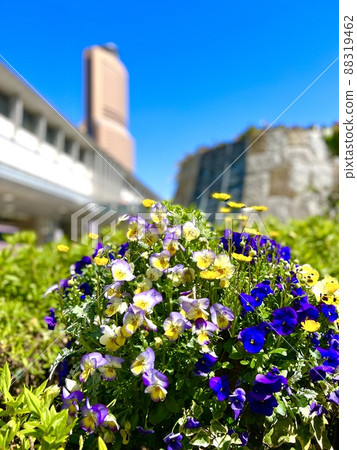 Hamamatsu, the city of flowers 88319462