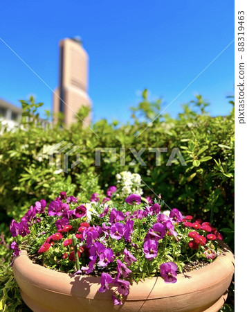Hamamatsu, the city of flowers 88319463