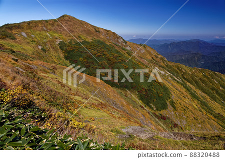 越後駒岳與中野岳垂直路線看到的秋葉 88320488