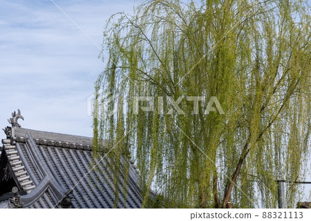 有柳樹的寺廟的照片 有柳樹的寺廟的照片 88321113