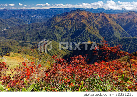 越後駒嶽山脊上的花楸樹葉和荒澤山景觀 88321233