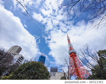 Tokyo Tower seen from the park Tokyo Tower seen from the park 88321361