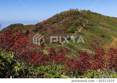 從秋天的小徑上看到的越後駒嶽山頂 從秋天的小徑上看到的越後駒嶽山頂 88321919