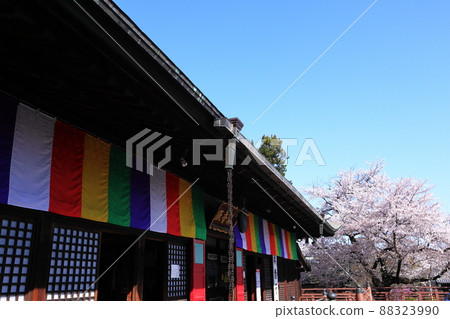 日本埼玉的春天 日本埼玉的春天 88323990