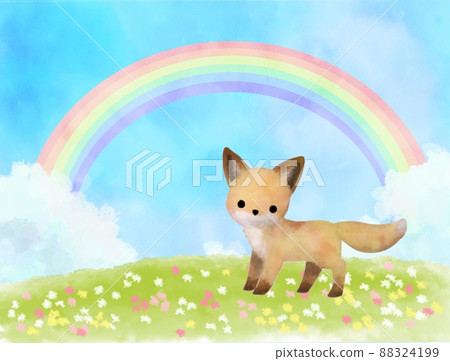 A rainbow-covered flower field and a red fox 88324199