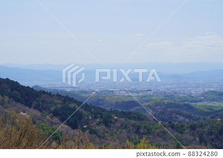 Takamadoyama Driveway on the day of the declaration of full bloom of cherry blossoms 88324280