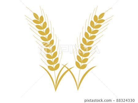 Wheat Wheat 88324330