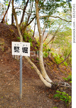 一宮城續日本100座精美城堡 88324581