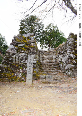 Ichinomiya Castle Continued 100 Fine Castles in Japan 88324603