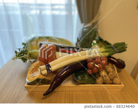 Today is a vegetable festival 88324640