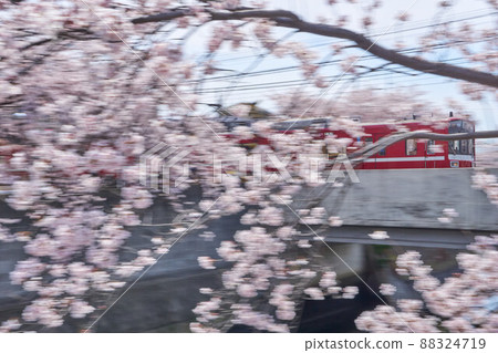 穿過櫻花橋媽媽河橋的京濱急行 穿過櫻花橋媽媽河橋的京濱急行 88324719