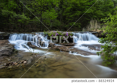 Otter in the valley Otter in the valley 88324914