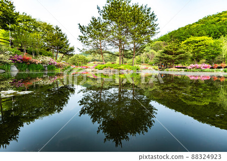 Ecological Park Spring Ecological Park Spring 88324923