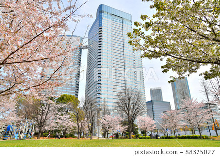 Reimei Bridge Park (Chuo-ku, Tokyo) [2022.4] 88325027