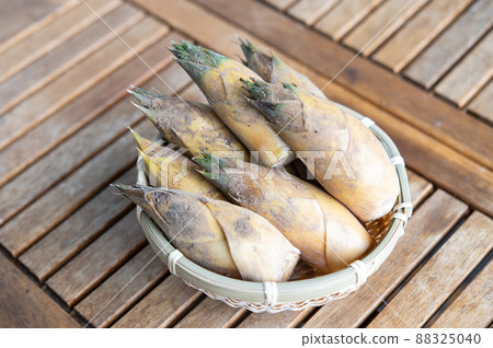 Freshly picked bamboo shoots Freshly picked bamboo shoots 88325040