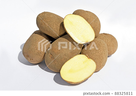 土豆（小金丸） 88325811