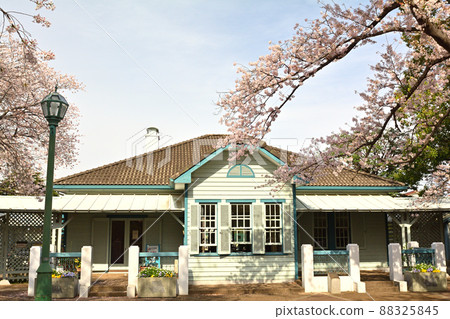 Yokohama/Yamate Park 88325845