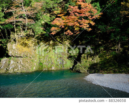 深秋清流中川 88326038