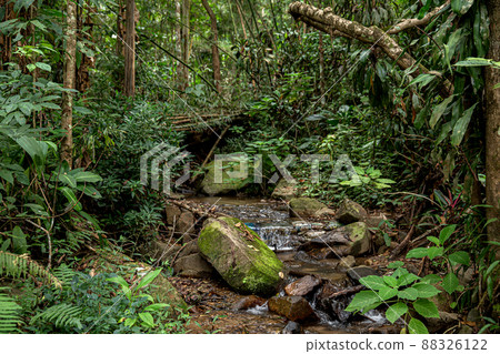 Thailand, Waterfall, Landscape - Scenery, Nature, Forest 88326122