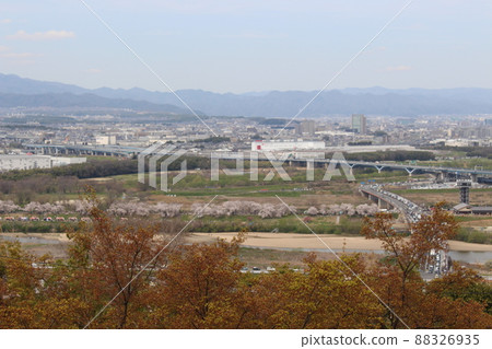 Sewaritei Sakura Festival 淀川公園 櫻花 春天 櫻花 染井 吉野 京阪線 春假 石清水八幡宮站 Sewaritei Sakura Festival 淀川公園 櫻花 春天 櫻花 染井 吉野 京阪線 春假 石清水八幡宮站 88326935