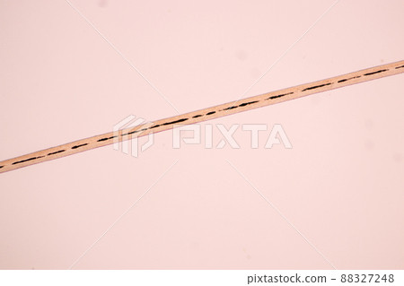 Characteristics of Hair cell of human under microscope view for education in laboratory. Characteristics of Hair cell of human under microscope view for education in laboratory. 88327248